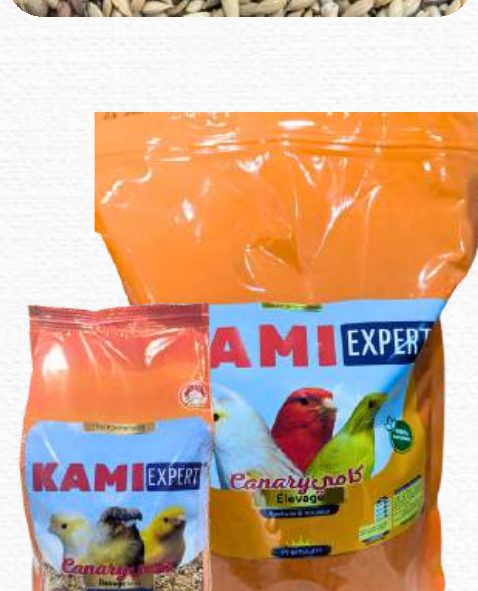 KAMI Expert Canary – كناري الشكل واللون