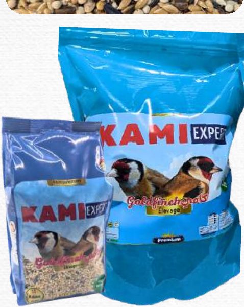 KAMI Expert Goldfinch – للتربية