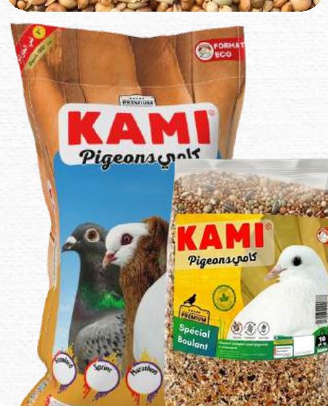 KAMI Pigeons Boulant